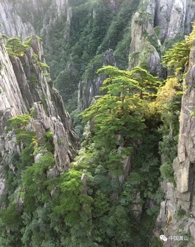 南方人称:完全接受不了东北人吃“生大葱蘸酱”,实在不理解!